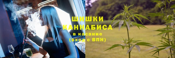 сатива Белоозёрский