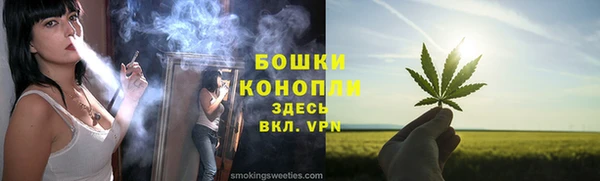 сатива Белоозёрский