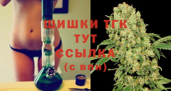 сатива Белоозёрский
