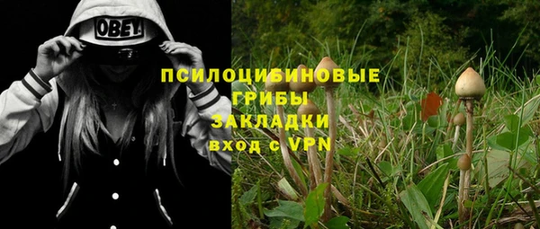 круглые Белокуриха