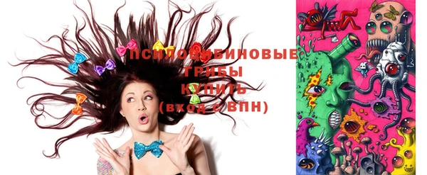 круглые Белокуриха