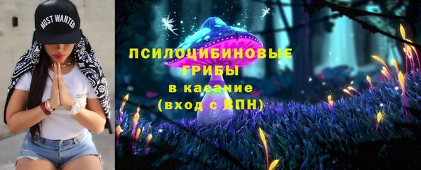 круглые Белокуриха