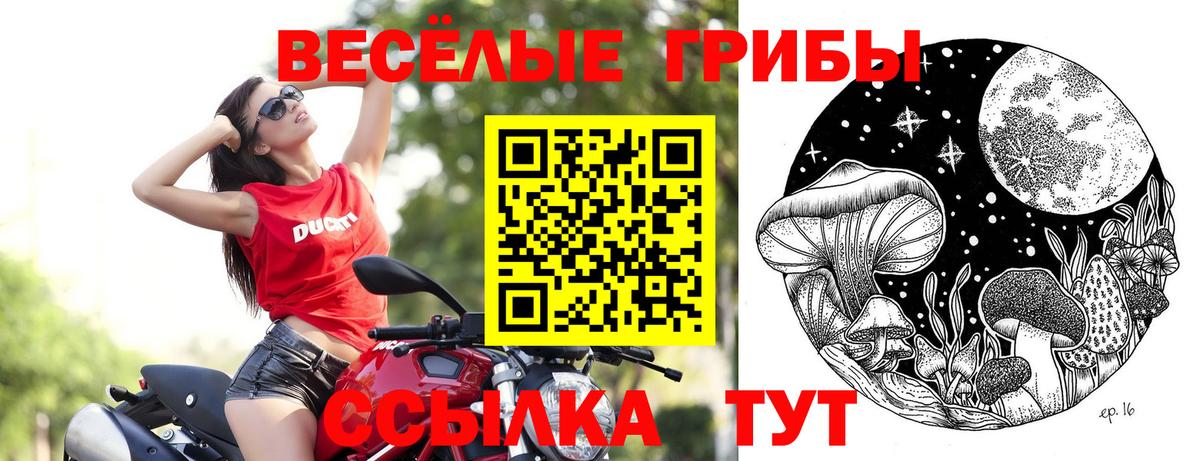 Саяногорск  Галлюциногенные грибы ЛСД  Вход с VPN 